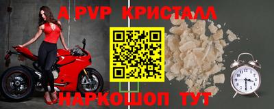 стафф Славгород