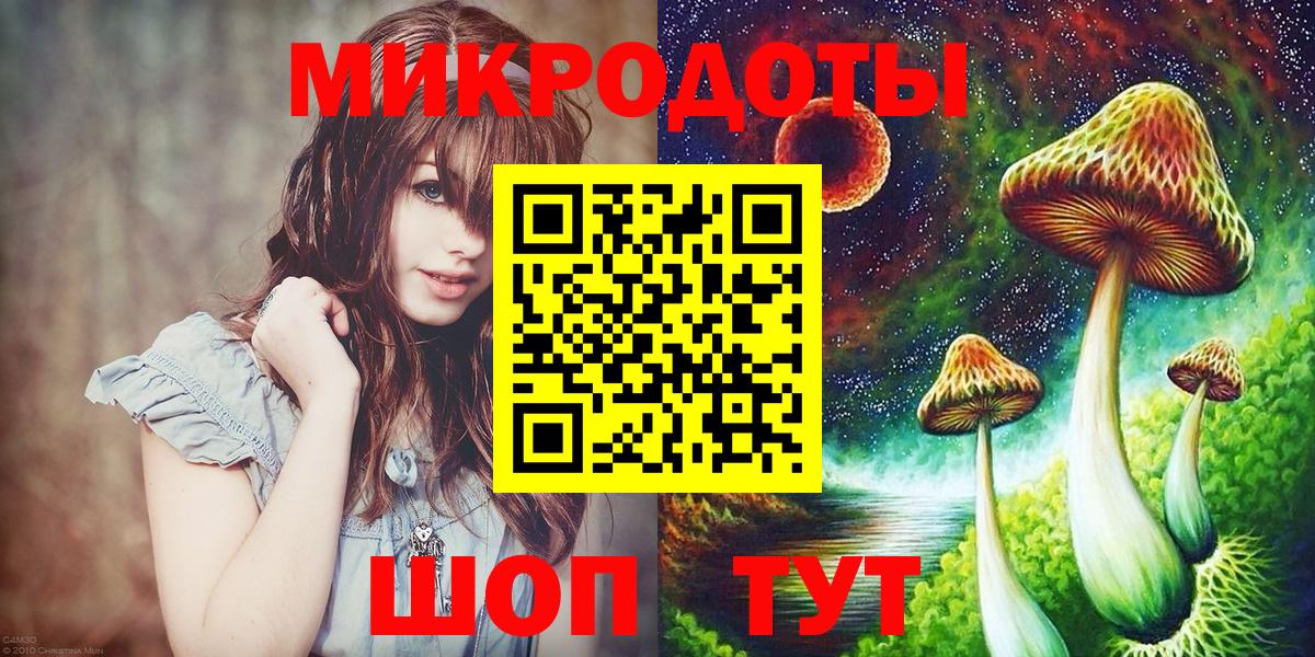 Псилоцибиновые грибы мицелий Новочеркасск