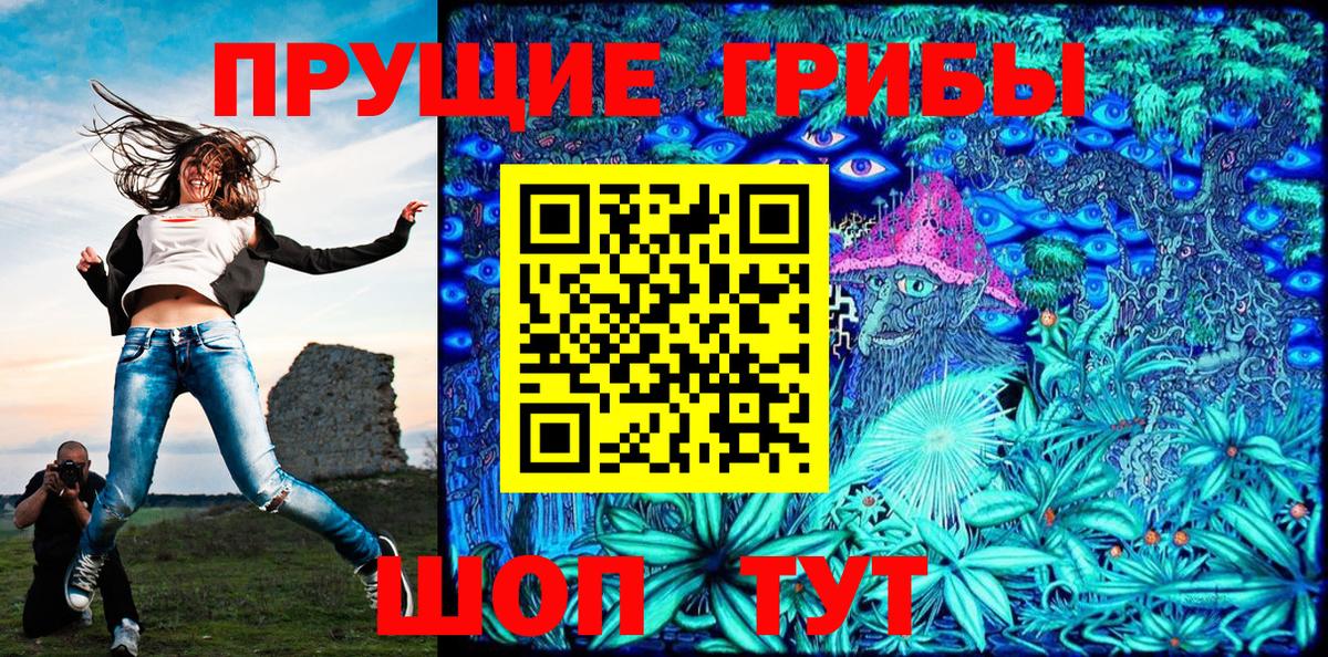 Псилоцибиновые грибы Psilocybine cubensis  как найти   Новочеркасск  Вход с VPN 